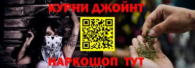 гидра Заводоуковск