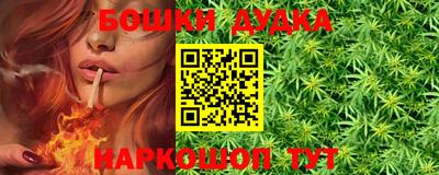 гидра Заводоуковск