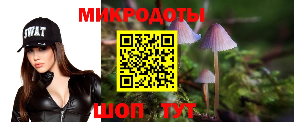 Галлюциногенные грибы Psilocybe  Псилоцибиновые грибы GOLDEN TEACHER  Вход с VPN  Касимов 